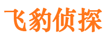 环江外遇调查取证